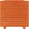 vidaXL - Plantenbak - 50x50x49,5 - cm - massief - grenenhout - wasbruin