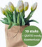 Real Touch Tulpen - Wit Boeket - Kunstbloemen - Nep Bloemen - Bloemendecoratie - Realistisch Boeket van 10 Witte Kunsttulpen – Premium Kunstbloemen - Inclusief Kraft Bloementasje