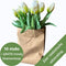 Real Touch Tulpen - Wit Boeket - Kunstbloemen - Nep Bloemen - Bloemendecoratie - Realistisch Boeket van 10 Witte Kunsttulpen – Premium Kunstbloemen - Inclusief Kraft Bloementasje