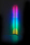 REALITY LEVEL Vloerlamp - Staande Lamp - Zwart - incl. 1x LED RGB 10W - Dynamisch licht - Geintegreerde dimmer - Memory functie - Afstandsbediening - RGB-kleurwisselaar - Sound control