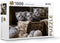 Rebo puzzel - Cute Kittens - 1000 st