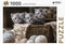 Rebo puzzel - Cute Kittens - 1000 st