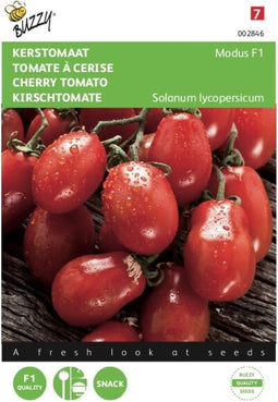 2 stuks - Buzzy - Tomaat Modus F1
