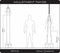 RECOIL Training S2 Suspension Trainer - Gym Edition