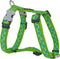 Red Dingo Hondentuig 20mm Neck 36-59cm Body 45-66cm DH-ST-LG-20