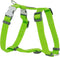 Red Dingo Hondentuig 25mm Neck 46-76cm Body 56-80cm DH-ZZ-LG-25
