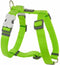 Red Dingo Hondentuig 25mm Neck 46-76cm Body 56-80cm DH-ZZ-LG-25