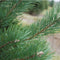 Reed Diffuser Dennengeur (Scots Pine) - 12 weken - Isle of Skye Candle