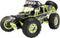 Reely Desert Climber Brushed 1:10 XS RC auto Elektro Buggy 4WD RTR 2,4 GHz