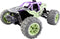 Reely RE-6923943 1:14 RC modelauto voor beginners Elektro Rallywagen 4WD Incl. accu en laadkabel