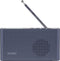 Reflexion Radio DAB+, DAB, VHF (FM) Voelbare toetsen Zwart