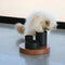 I Love Happy Cats Iggy - Verrijkingskom met 3 Niveaus - Zwart - 27x27x19cm
