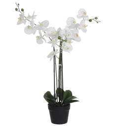 Mica Decorations - Kunstplant mica phalaenopsis orchidee wit | 2 stuks