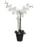 Mica Decorations - Kunstplant mica phalaenopsis orchidee wit | 2 stuks