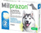 Milprazon Hond Groot 2 tabletten