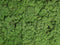 Rendeermos Groen - 500 Gram
