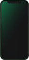 Renewd iPhone 12 Groen 64GB