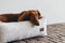 Designed by Lotte Ribbed - Hondenmand - Ribstof - Lichtgrijs - 65x60x20 cm