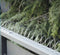 Repeller Birds Stainless steel 5 m