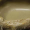 Repto Deco Waterschaal - Eet en Waterbak Reptielen