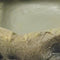 Repto Deco Waterschaal - Eet en Waterbak Reptielen