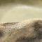 Repto Deco Waterschaal - Eet en Waterbak Reptielen