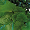 Repto Plant Achterwand Mat 25X25Cm 1