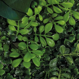 Repto Plant Achterwand mat 25x25cm - Kunstplant Terrarium