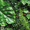 Repto Plant Achterwand Mat 40-60Cm 2