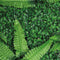 Repto Plant Achterwand mat 40x60cm nr.1- Kunstplant Terrarium