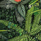 Repto Plant Achterwand mat 40x60cm nr.3- Kunstplant Terrarium