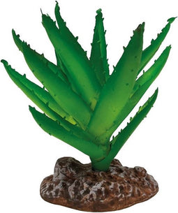 Repto Plant Aloe Vera - Terrariumplant