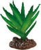 Repto Plant Aloe Vera - Terrariumplant
