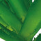 Repto Plant Aloe Vera - Terrariumplant