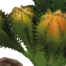 Repto Plant Cactus - Kunstcactus Terrarium