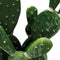 Repto Plant Cactus Opuntia - Kunstcactus Terrarium