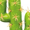 Repto Plant Cactus San Pedro - Kunstcactus Terrarium