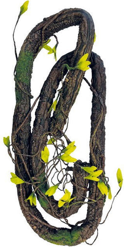 Repto Plant Climbing - Terrariumplant