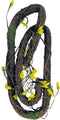Repto Plant Climbing - Terrariumplant