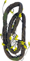 Repto Plant Climbing - Terrariumplant