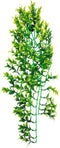 Repto Plant Green Yellow 70cm- Kunstplant Terrarium