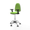Piqueras y Crespo B2D05RF - Bureaustoel - Hoogteverstelbaar met armleuning - Pistache