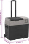 vidaXL - Koelbox - met - wielen - en - adapter - 30 - L - polypropeen - zwart - en - grijs