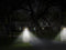 REV Solar LED-licht met bewegingsmelder, wit