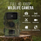 STREX SP265 - Wildlife Camera - 16MP 1080P Nachtzicht - Groen