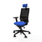 Piqueras y Crespo 2D066N2 - Bureaustoel - Hoofdsteun en verstelbare hoogte - Blauw