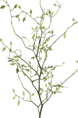 PTMD Twig Plant Groene Kruiden Kunsttak - 60 x 33 x 94 cm - Groen