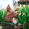 Tuinfiguur broedende kip met kuikens | bruin | 19 cm