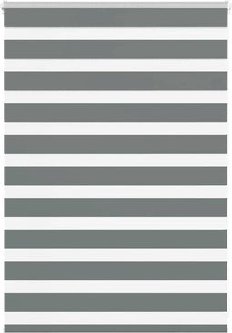 vidaXL - Zebra - rolgordijn - 100x100 - cm - stofbreedte - 95,9 - cm - donkergrijs