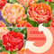 Plant in a Box - Tulipa Gudoshnik Double - Bloembollen x30 - Tulpen - Oranje - Dubbele bloemen